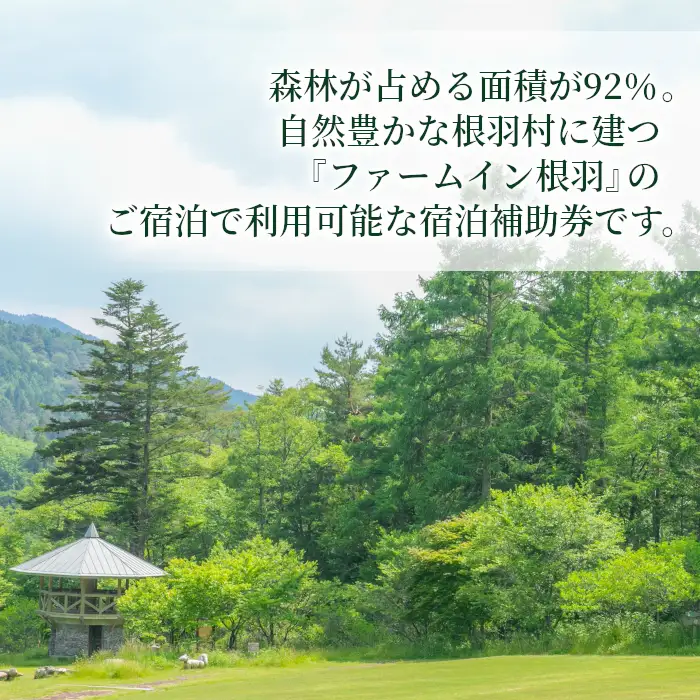 自然の中の隠れ家★コテージ一棟貸 根羽ヴィレッジ(30,000円分) コテージ 旅行 キャンプ BBQ
