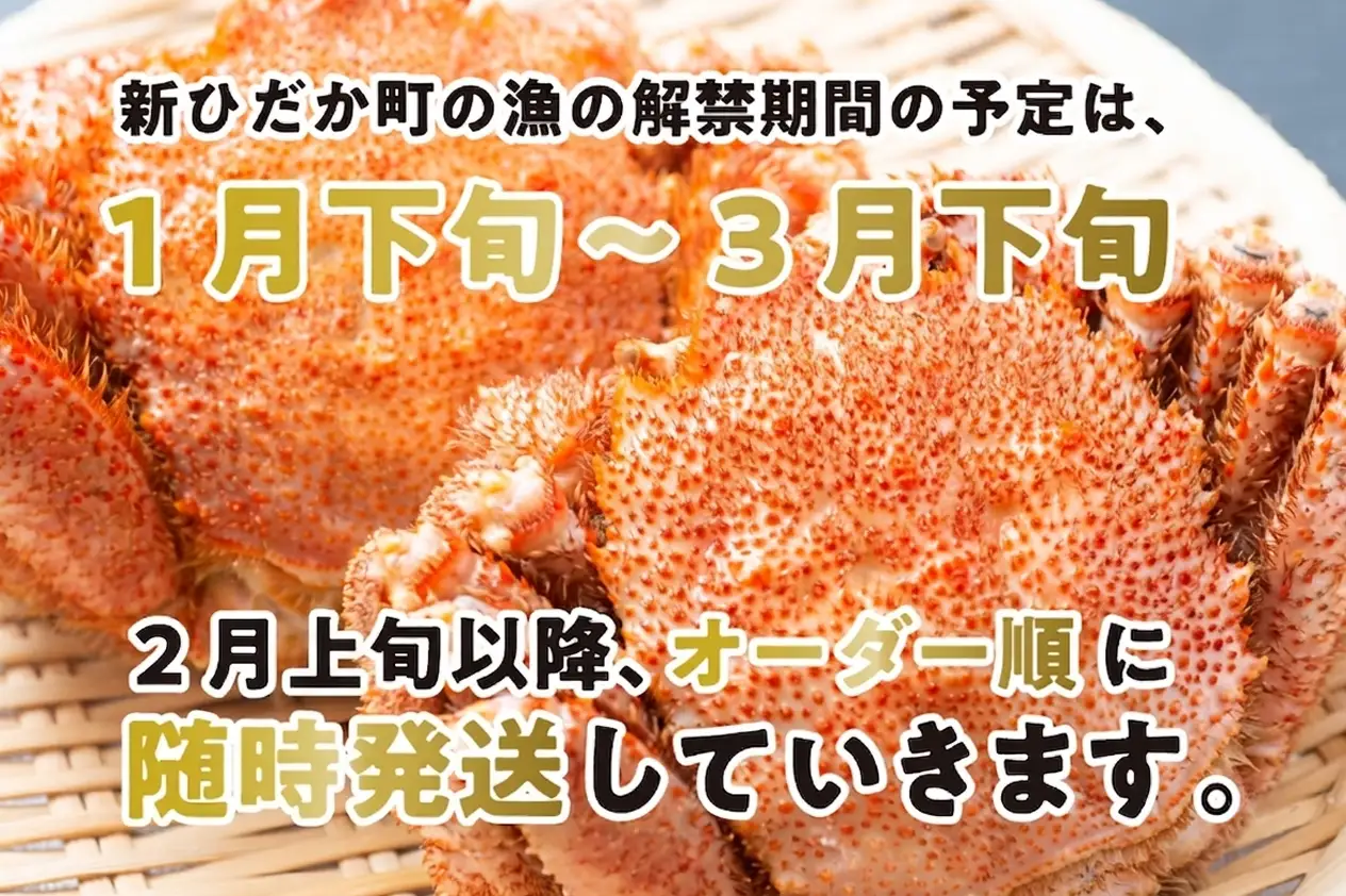 ＜ 2027年2月上旬より発送開始 ＞ 北海道産 浜ゆで 毛ガニ 3尾 計900g以上 冷蔵 カニ かに 蟹 ＜ 予約受付 ＞