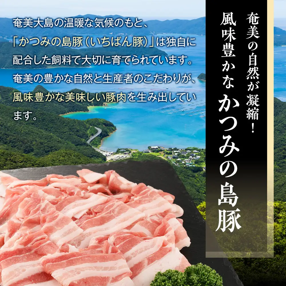 【定期便3か月】かつみの島豚いちばんしゃぶしゃぶバラエティセット 750g（250g×3パック）