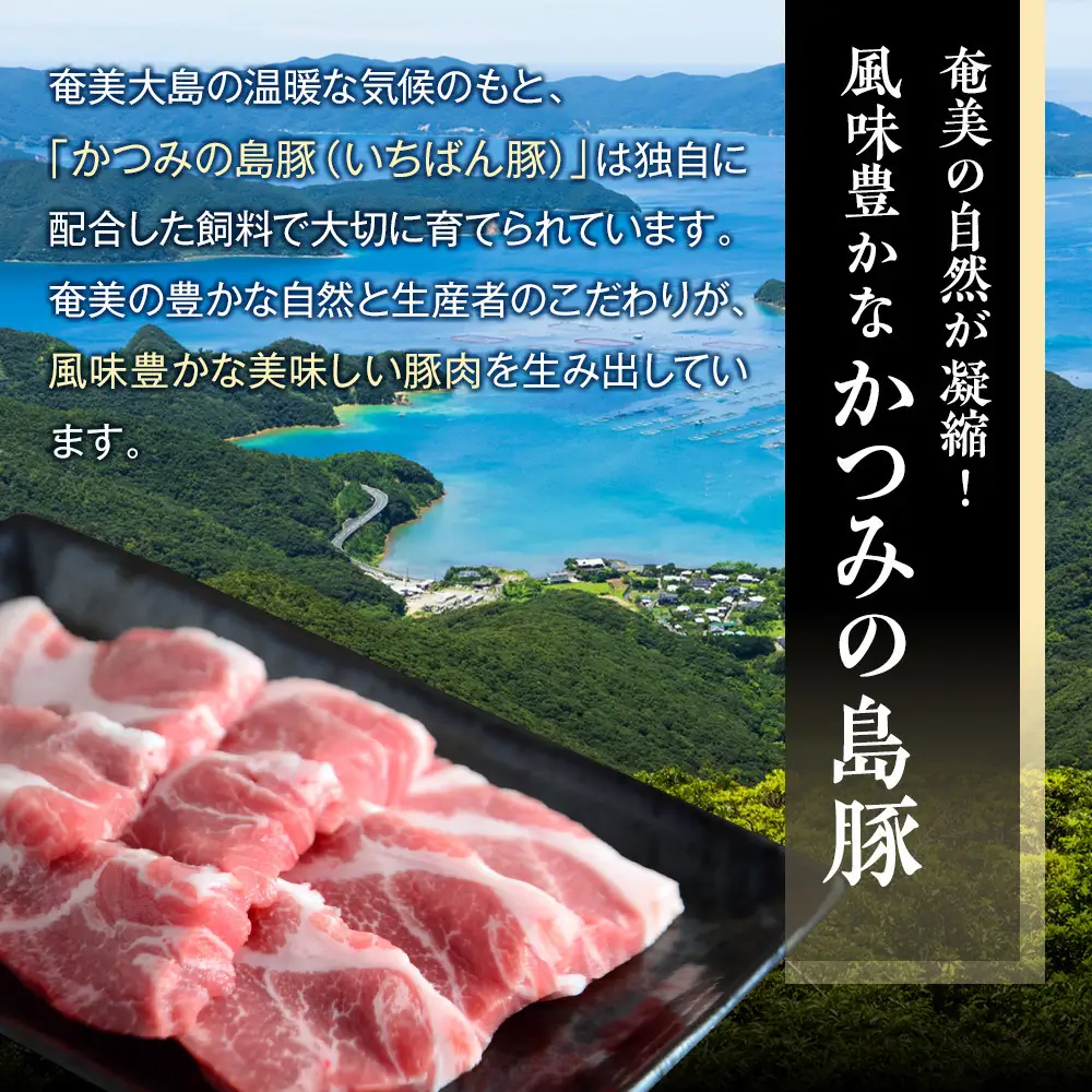 【定期便6か月】かつみの島豚いちばん焼肉バラエティセット 750g（250g×3パック）