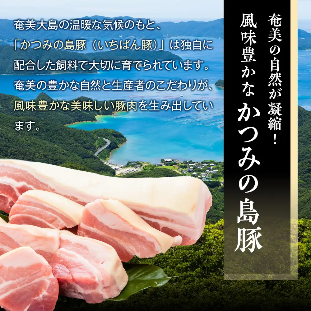 かつみの島豚いちばん豚バラブロック肉　1kg