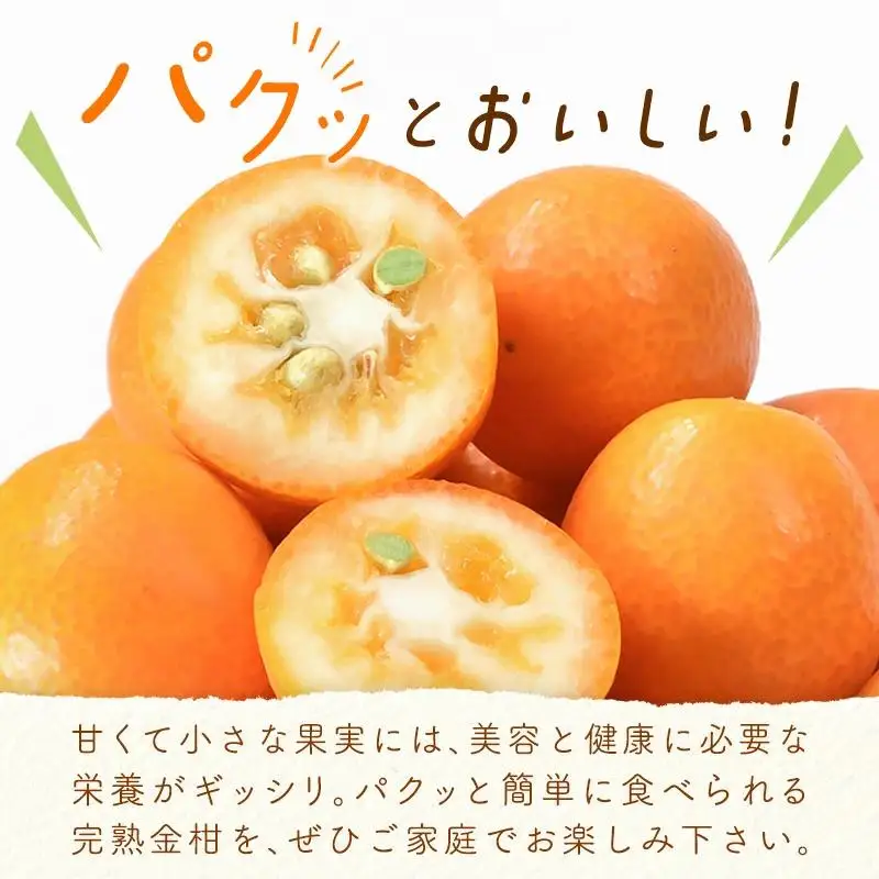 【先行予約】宮崎県西都市産 完熟きんかん3kg（3L～L）　2027年発送＜18-8a＞