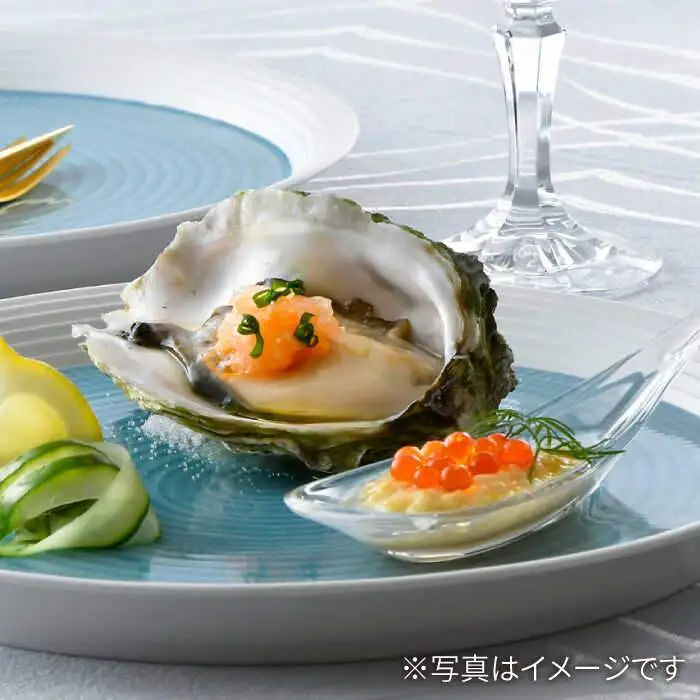 【波佐見焼】ブルースプレッド 24cm 丸皿 プレート 2枚セット 食器 皿 【一真窯】 [BB46]  波佐見焼
