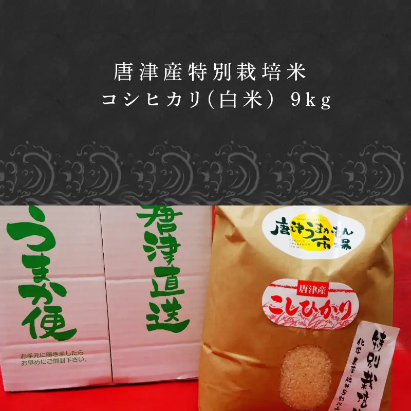 唐津産特別栽培米 コシヒカリ(白米) 4.5kg×2袋(合計9kg)