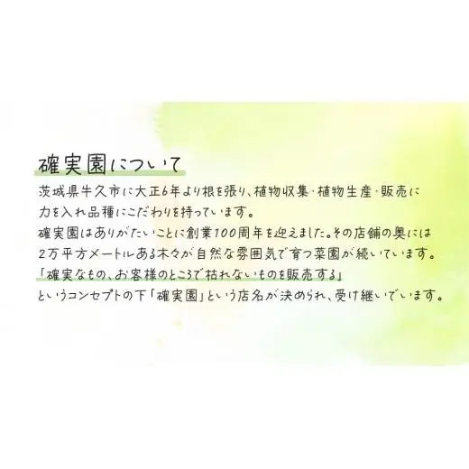 《 先行予約 》【 確実園 オリジナル 】 クリスマスローズ （おまかせ1点）