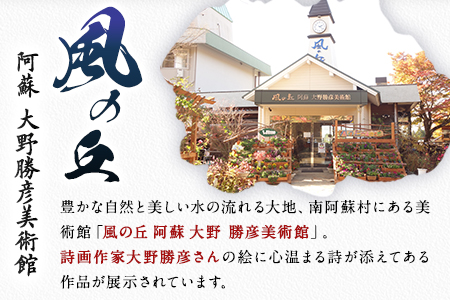 大野勝彦 短冊額『七回転んだら』だるま 風の丘阿蘇大野勝彦美術館《60日以内に出荷予定(土日祝除く)》美術館 詩