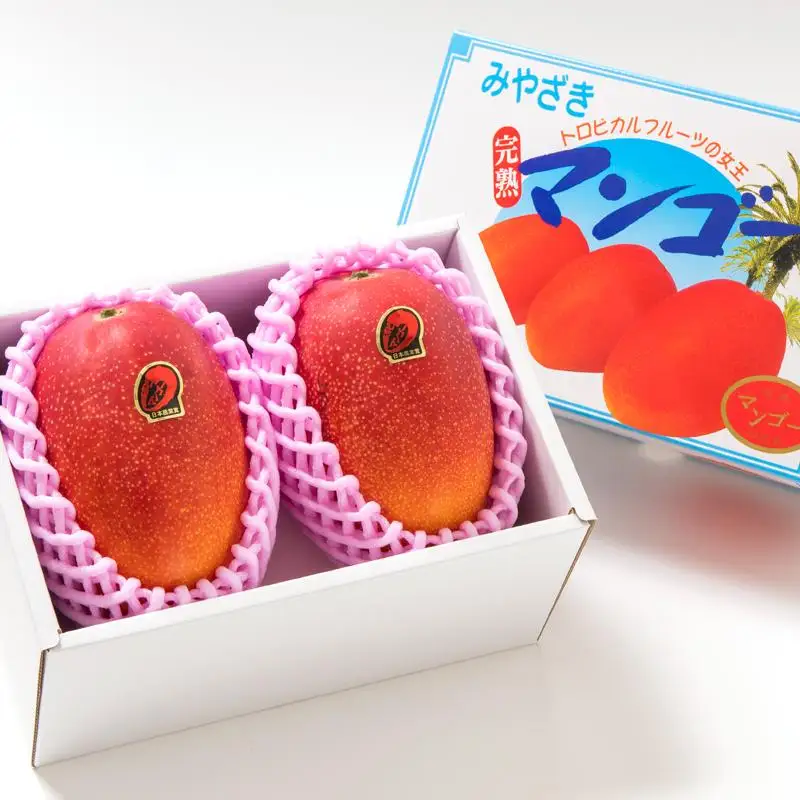【先行予約】大玉！糖度12度以上 西都市産完熟マンゴー4L×2玉（計1kg程度） 2026年発送＜26-2a＞