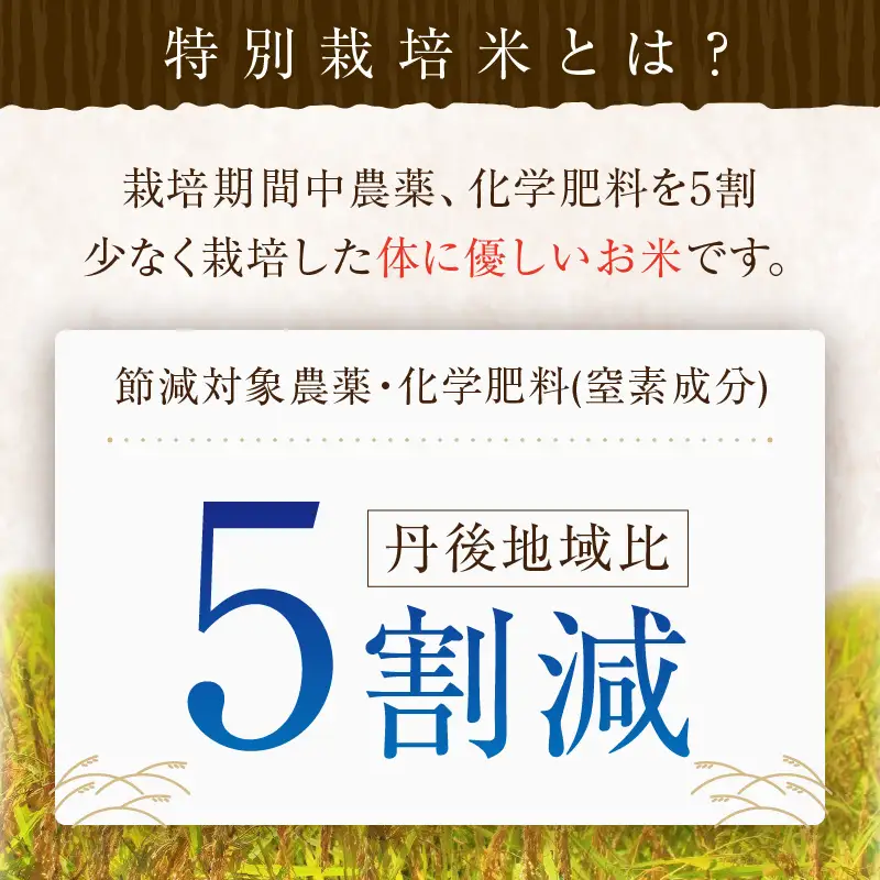 コシヒカリ 5kg 令和8年 白米 精米 コシヒカリ