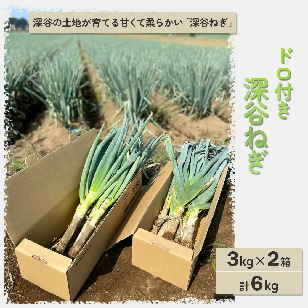 ＜先行予約＞深谷ねぎ（ドロ付き）3kg×2箱／計6kg　【11218-0210】