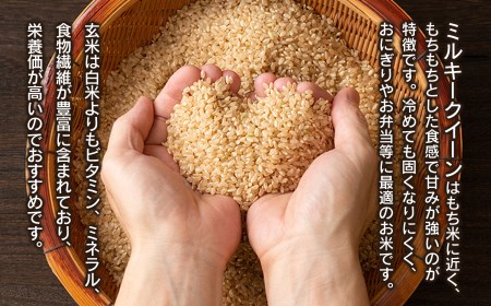 【令和8年産】 ミルキークイーン 玄米 10kg (5kg×2袋) 山形県庄内産 小池半左衛門
