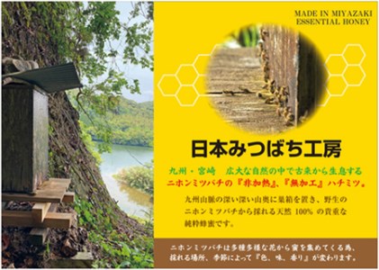 【山奥で採れる天然地蜜】天然100％純粋蜂蜜 300g
