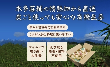 【オーガニック】有機生姜 1.5kg（しょうが ショウガ 有機JAS 野菜）
