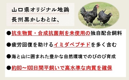 【流通割合1%未満！希少地鶏】合計1.2kg 長州黒かしわ もも肉 小分けパック カット済み 柚子 鶏 ジューシー 天然記念物黒柏 地鶏 栄養 旨味 長門ゆずきち柚子こしょう付 唐揚げ 焼き鳥  (1035)
