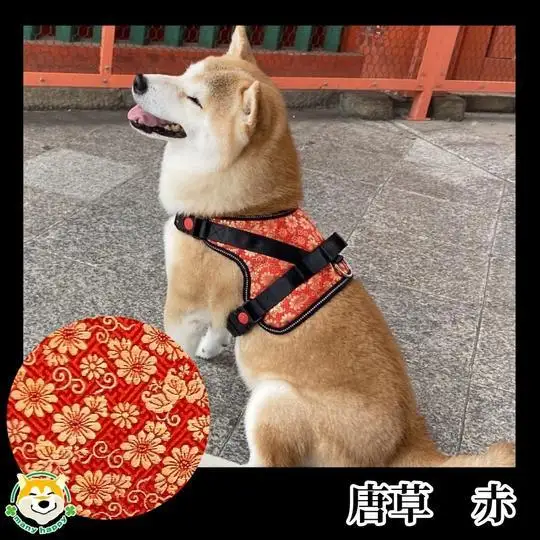 【 京都西陣金襴織 】中型犬ハーネス 華 （唐草）《柴犬柄コースター付き！》【柴犬コウタのハッピィショップ】［ 犬用ハーネス 背中に乗せてカチッと留めるだけ 胴輪 抜けにくい お正月 お祝い 人気 おすすめ ギフト プレゼント お取り寄せ 通販 送料無料 ふるさと納税 ］