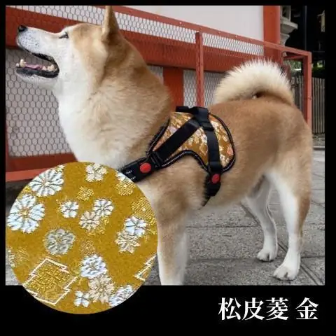【 京都西陣金襴織 】中型犬ハーネス 華（松皮菱 金）《柴犬柄コースター付き！》【柴犬コウタのハッピィショップ】［ 犬用ハーネス 背中に乗せてカチッと留めるだけ 胴輪 抜けにくい お正月 お祝い 人気 おすすめ ギフト プレゼント お取り寄せ 通販 送料無料 ふるさと納税 ］
