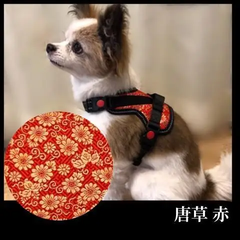 【 京都西陣金襴織 】小型犬ハーネス 華（唐草）《柴犬柄コースター付き！》【柴犬コウタのハッピィショップ】［ 犬用ハーネス 背中に乗せてカチッと留めるだけ 胴輪 抜けにくい お正月 お祝い 人気 おすすめ ギフト プレゼント お取り寄せ 通販 送料無料 ふるさと納税 ］