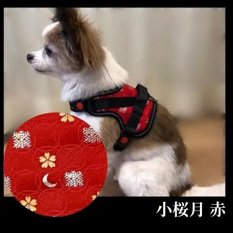 【 京都西陣金襴織 】小型犬ハーネス 華（小桜月 赤）《柴犬柄コースター付き！》【柴犬コウタのハッピィショップ】［ 犬用ハーネス 背中に乗せてカチッと留めるだけ 胴輪 抜けにくい お正月 お祝い 人気 おすすめ ギフト プレゼント お取り寄せ 通販 送料無料 ふるさと納税 ］
