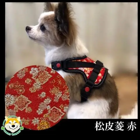 【 京都西陣金襴織 】小型犬ハーネス 華（松皮菱 赤）《柴犬柄コースター付き！》【柴犬コウタのハッピィショップ】［ 犬用ハーネス 背中に乗せてカチッと留めるだけ 胴輪 抜けにくい お正月 お祝い 人気 おすすめ ギフト プレゼント お取り寄せ 通販 送料無料 ふるさと納税 ］