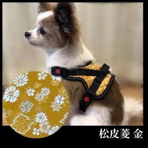 【 京都西陣金襴織 】小型犬ハーネス 華（松皮菱 金）《柴犬柄コースター付き！》【柴犬コウタのハッピィショップ】［ 犬用ハーネス 背中に乗せてカチッと留めるだけ 胴輪 抜けにくい お正月 お祝い 人気 おすすめ ギフト プレゼント お取り寄せ 通販 送料無料 ふるさと納税 ］