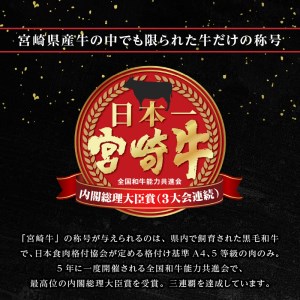 宮崎牛 ローススライス 600g (300g×2パック)