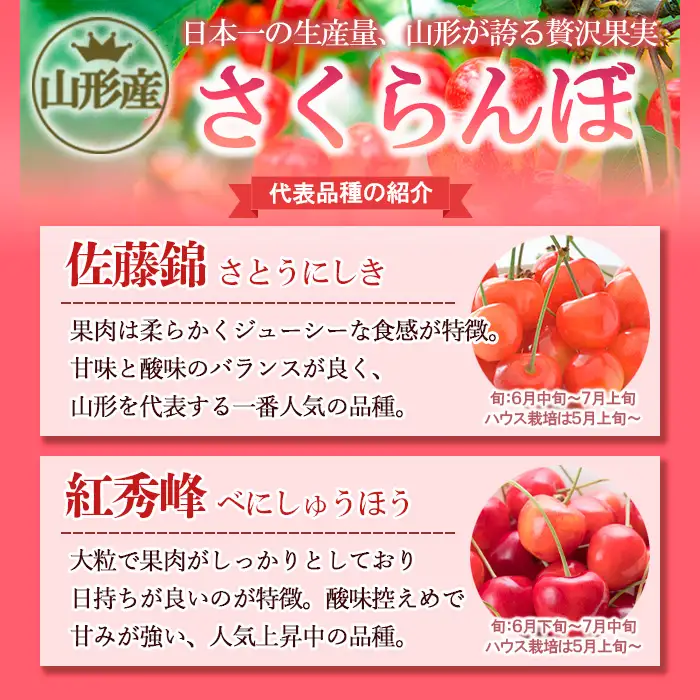 山形のさくらんぼ 佐藤錦 1080g (180g×6パック) Lサイズ以上 【令和9年産先行予約】FS25-514