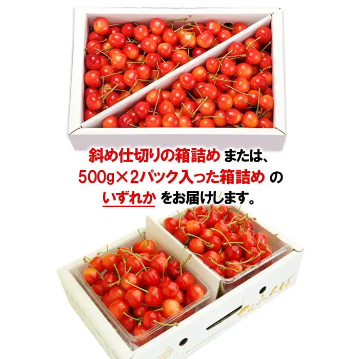 山形のさくらんぼ 佐藤錦 1kg Lサイズ以上 バラ詰 【令和9年産先行予約】FS25-513