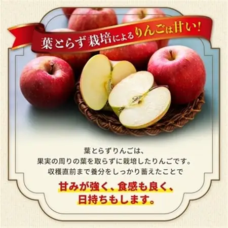 青森市産りんご「葉取らずサンふじ」約5kg(家庭用)_果物・フルーツ りんご  リンゴ 林檎_【配送不可地域：離島・沖縄県】【1272641】