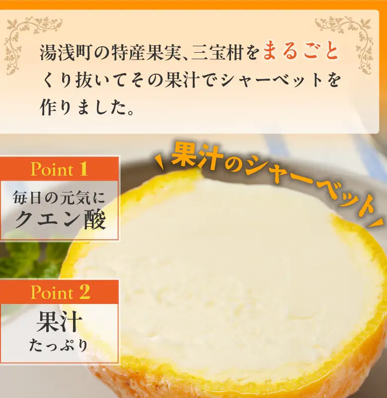 【ギフト用】まるごと 三宝柑 シャーベット 5個 セット_ZP6009_GFTn