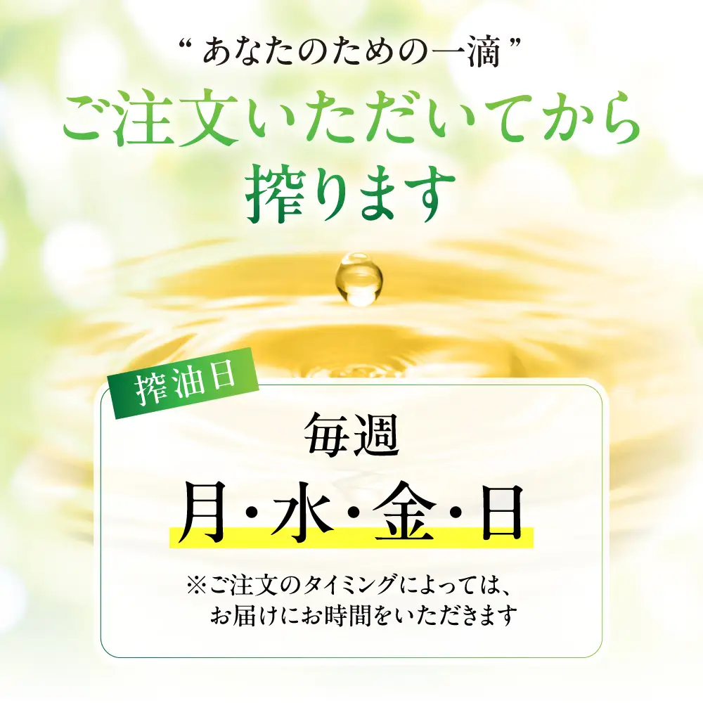 飛騨生搾り えごま油 100g×3本セット 毎月搾りたてをお届け 定期便 ３回  エゴマ油 えごま エゴマ 低温圧搾 無添加 国産えごま油  オメガ３（α-リノレン酸） たっぷり 健康 飛騨 飛騨高山 飛騨えごま本舗 CD101