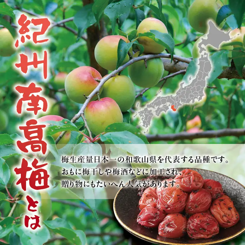 紀州南高梅　＜つぶれ梅＞かつお【ハチミツ入】塩分10%（1kg）なかやまさんちの梅干 うめ ウメ 梅干し【nky013-210k】