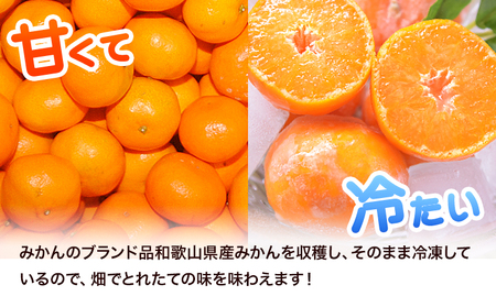 冷凍みかん ご家庭用 サンファームみかん