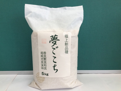 令和7年産 夢ごこち 5kg 白米【T034W3】近江米 ご飯 精米