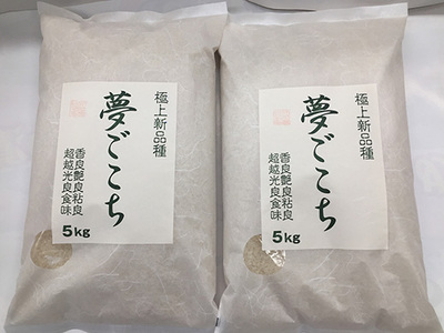  令和7年産 夢ごこち 10kg 白米 【T035W3】 近江米 ご飯 精米 5kg 2袋