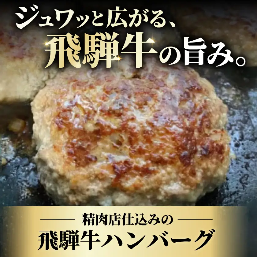 肉の鳥文精肉店 特製 飛騨牛ハンバーグ 20個【配送不可地域：離島】【1268359】