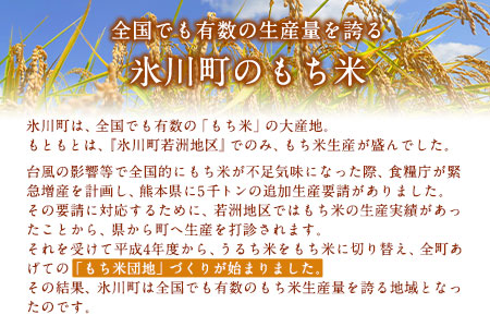 蓮華の花園(もち米) 5kg 精米 JAやつしろカントリー利用組合 熊本県 氷川町《30日以内に出荷予定(土日祝除く)》