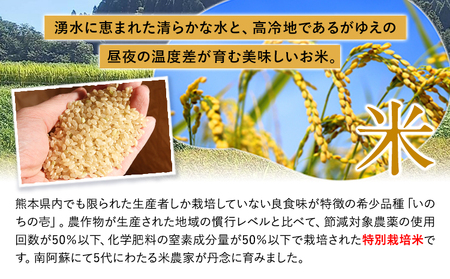 令和8年産 特別栽培米 いのちの壱 白米 20kg (10kg×2袋) 雑穀米付き 虹色のかば