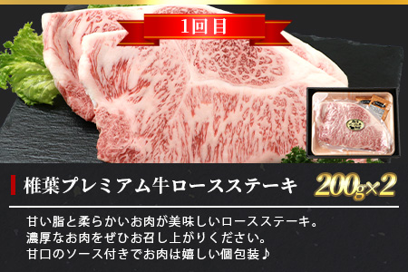 【定期便2回】総重量800g 椎葉プレミアム牛ステーキ定期便≪サーロインステーキ・ロースステーキ≫ 黒毛和牛 和牛 牛肉 赤身 肉 ステーキ サーロイン 焼肉 バーベキュー TK-61