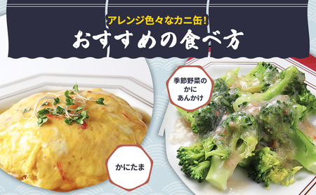 カニ缶 缶詰 本ずわいがに 脚肉くずれ 65g × 8個 セット