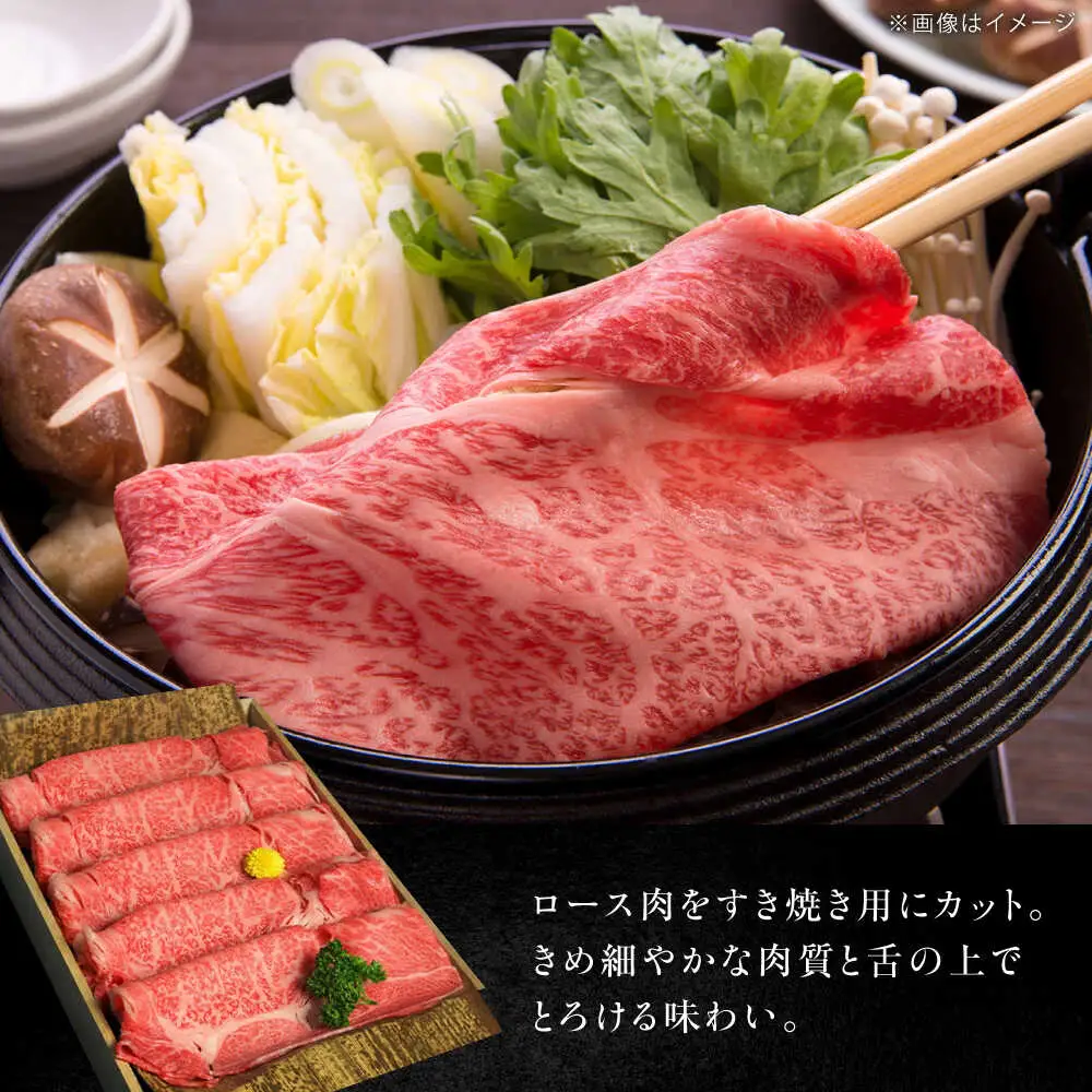 近江牛 ロースすき焼き用 600g ・サーロインステーキ200g×2枚 計1kg BIBH001 近江牛