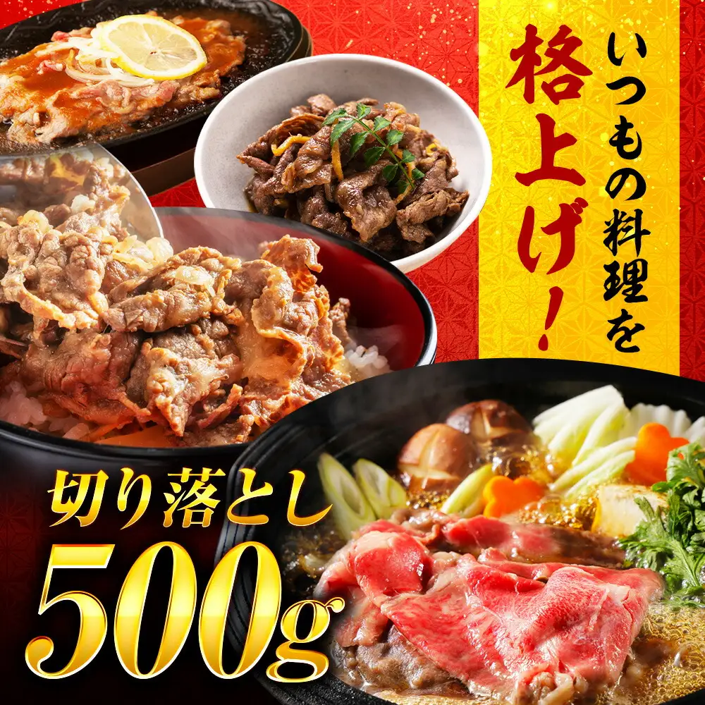 近江牛 すき焼き用 切り落し 500g BIBH005 近江牛