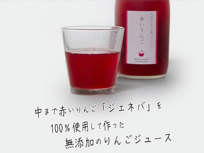 風丸農場　赤いりんごのジュース　無添加 青森県産　720ml×2本セット 飲料類 果汁飲料 