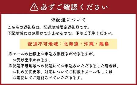 牡蠣 坂越かき赤穂クリスタルブラン10個 カキ 牡蠣 かき 海の幸 魚介 貝【2026年6月下旬～2026年10月下旬まで発送予定】