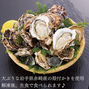 豊穣かき 10個 生食用 冷凍 かき 牡蠣 カキ  オイスター oyster アヒージョ バーベキュー BBQ フライ 揚げ物 鍋 ごはん 夕飯 おかず おつまみ 晩酌 米 丼 海産物 海鮮 魚介 魚介類 贈答品 お中元 大船渡 三陸 岩手県 国産