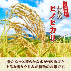 isa312 【定期便】伊佐のお米(5kg×6ヶ月・計30kg) 国産 白米 精米 伊佐米 お米 米 ごはん ご飯 ひのひかり酵素栽培【猩々農園】