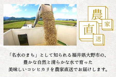 【令和5年産】福井県大野市産 コシヒカリ 白米 精米 5kg 農家直送  [A-013001]