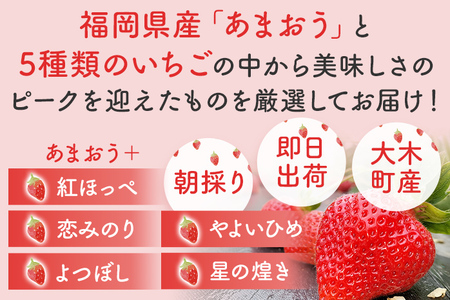 あまおうと旬のいちごの食べ比べセット 約270g×4パック　BO001
