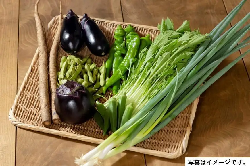 ＜２回　定期便＞【JA全農京都】半年に１回配送！季節の京野菜セット