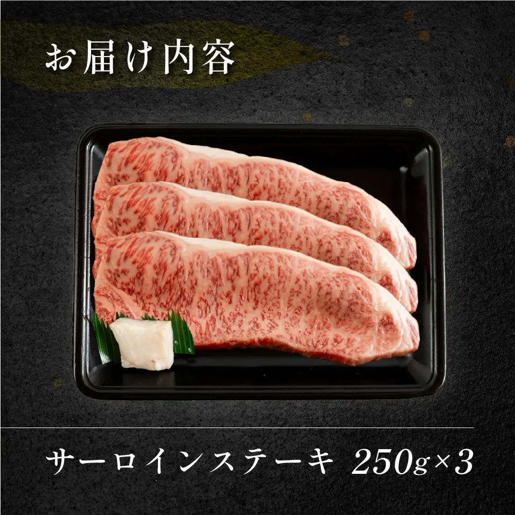 飛騨牛サーロインステーキ 250g×3【70-13】