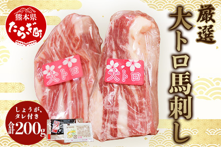 【霜降り】厳選 大トロ 馬刺し 200g ＜ 大トロ 100g×2 / 醤油 生姜 セット ＞ 馬肉 冷凍 熊本馬刺し 熊本馬肉 新鮮馬刺し 贅沢馬刺し 大トロ馬刺し 中トロ馬刺し 馬刺し食べ比べ 霜降り 馬肉 冷凍 030-0233