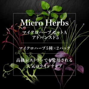 【マイクロハーブ セット（A）／アドバンスド5】 [h173]